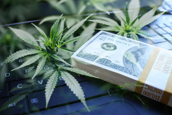A Great Gift for Dispensaries: The SAFE Banking Act Picks Up Steam