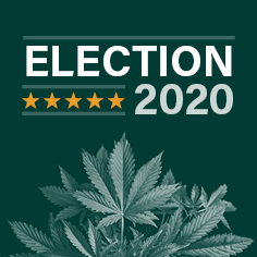 2020 Election: Making Strides in the Marijuana Industry