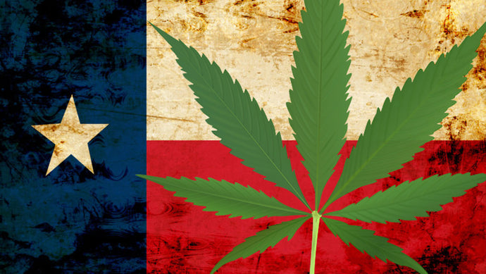 Texas Takes On The Hemp Industry