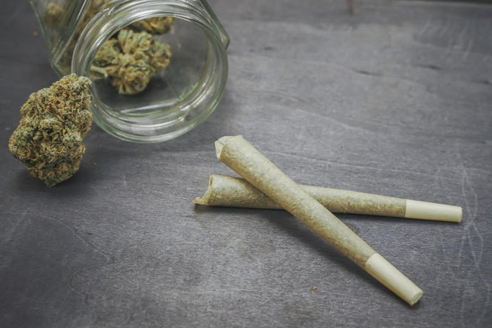 The Surge in Demand for Infused Pre-Rolls: A Look at Market Data