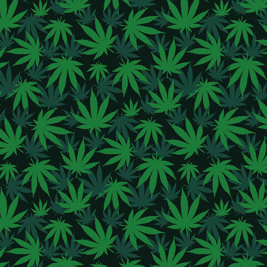 https://cannablissclouds.com/cdn/shop/collections/parchment-sheets.jpg?v=1595529143